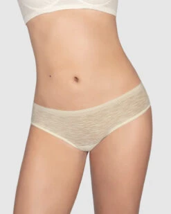 Sheer Lace Hipster Knicker -Fitted Clothes Shop 012961 253 1200X1500 2021 2