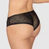 Sheer Lace Hipster Knicker