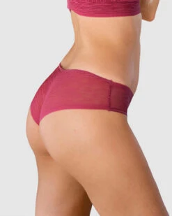 Sheer Lace Hipster Knicker -Fitted Clothes Shop 012961 A80 1200X1500 1